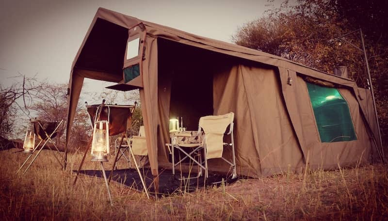 Safari guests viewing Botswana wildlife